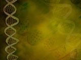 DNA Designs PowerPoint Templates DNA Designs PowerPoint Templates