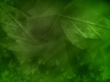 Green Gaze PowerPoint Templates Green Gaze PowerPoint Templates