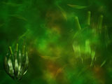 Green Gaze PowerPoint Templates