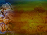 Marine Biology PowerPoint Templates