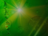 Genetics PowerPoint Templates Genetics PowerPoint Templates