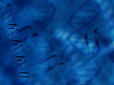 Genetics PowerPoint Templates Genetics PowerPoint Templates