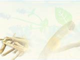 Ayurveda PowerPoint Templates
