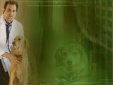 Pets and Vets PowerPoint Templates Pets and Vets PowerPoint Templates