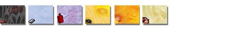 Free Hot Water Bottle PowerPoint Templates