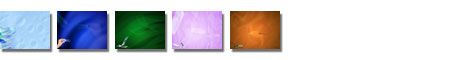 Free Microscope Slides PowerPoint Templates