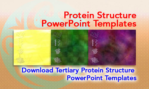 Protein Structure Medicine PowerPoint Templates