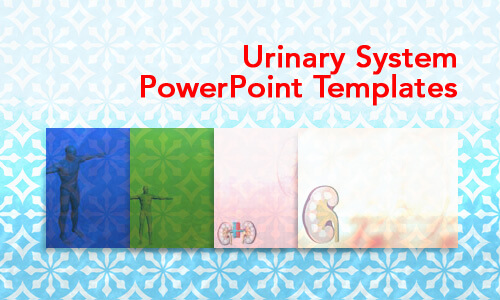 Urinary System Medicine PowerPoint Templates