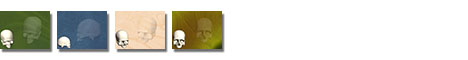 Free Cranium (Skull Without Jawbone) PowerPoint Templates