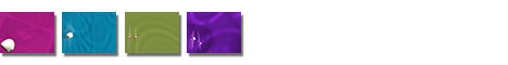 Free Patella (Knee Cap) PowerPoint Templates