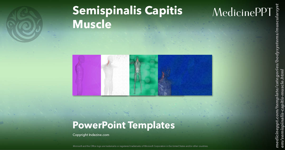 Semispinalis Capitis Muscle - Medicine PowerPoint Templates