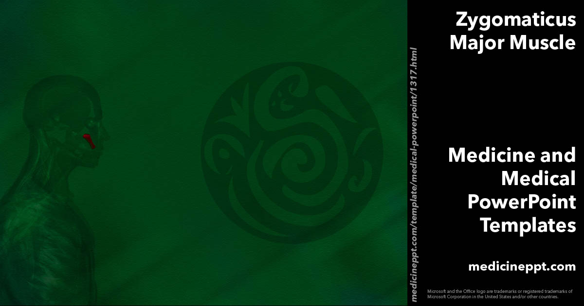Zygomaticus Major Muscle 02 Medicine PowerPoint Templates