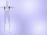 Subscapularis Muscle Medicine PowerPoint Templates