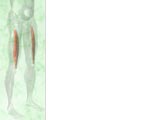 Print Layout PowerPoint Templates Print Layout PowerPoint Templates