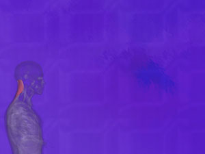 Splenius Cervicis Muscle Title Content PowerPoint Template