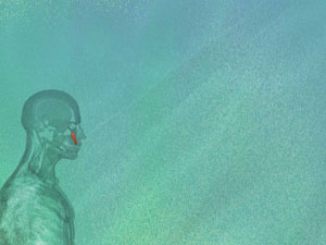 Zygomaticus Minor Muscle Title Content PowerPoint Template