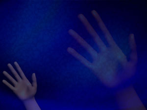 Palm Title Content PowerPoint Template