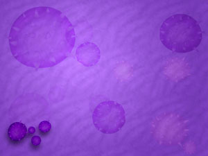 Swine Flu Title Content PowerPoint Template
