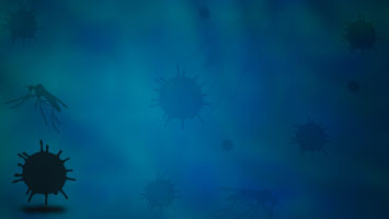 Zika Virus Title Content PowerPoint Template