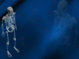 Human Skeleton Medicine PowerPoint Templates