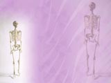 Human Skeleton Medicine PowerPoint Templates
