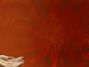 Hands Title Content PowerPoint Template