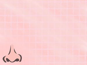 Nose Title Content PowerPoint Template