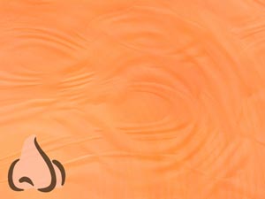 Nose Title Content PowerPoint Template