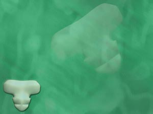 Tailbone Title Content PowerPoint Template