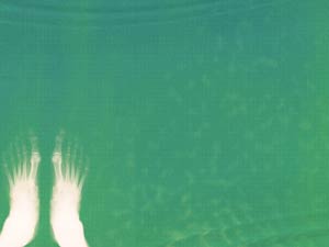 Feet X-ray Title Content PowerPoint Template