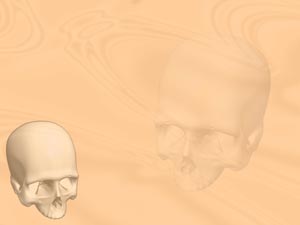 Cranium (Skull Without Jawbone) Title Content PowerPoint Template