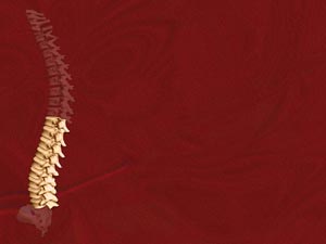 Lumbar Region Title Content PowerPoint Template