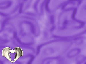 Male Pelvic Girdle Title Content PowerPoint Template