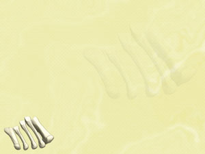 Metatarsals Title Content PowerPoint Template