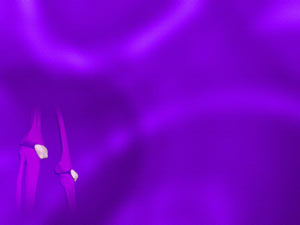 Patella (Knee Cap) Title Content PowerPoint Template