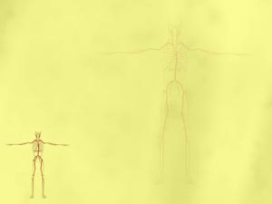 Arteries Title Content PowerPoint Template