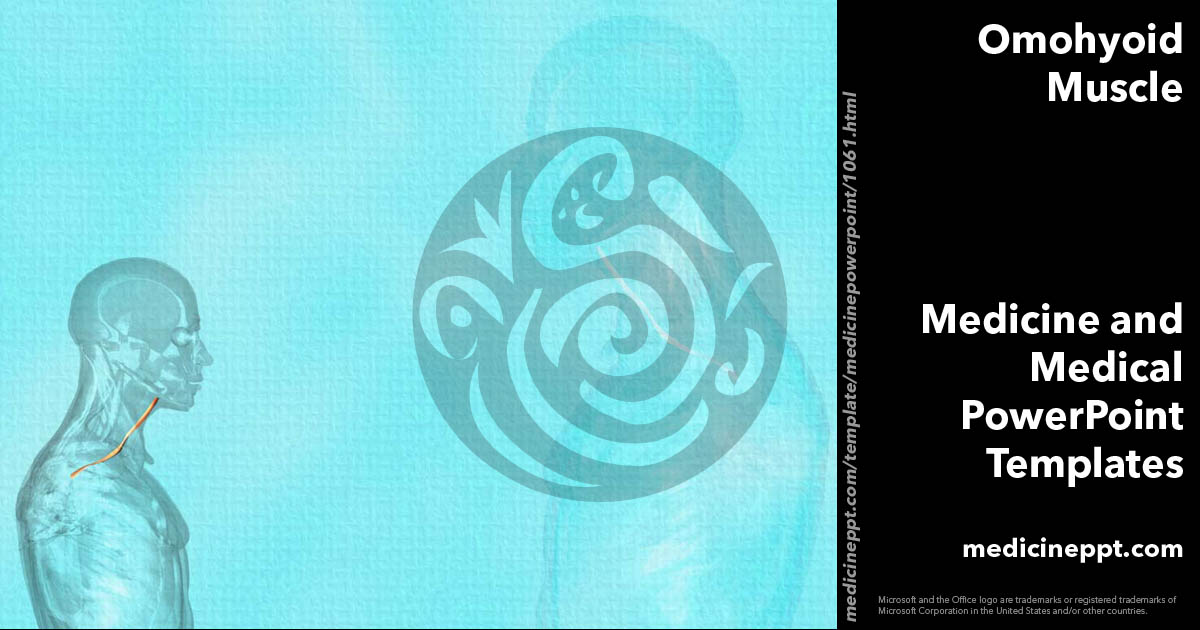 Omohyoid Muscle 02 Medicine PowerPoint Templates