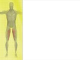 Print Layout PowerPoint Templates