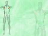 Pectoralis Minor Muscle Medicine PowerPoint Templates
