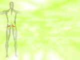 Piriformis Muscle Medicine PowerPoint Templates
