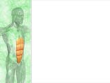 Print Layout PowerPoint Templates