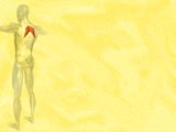 Rhomboid Major Muscle Medicine PowerPoint Templates
