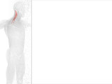 Print Layout PowerPoint Templates