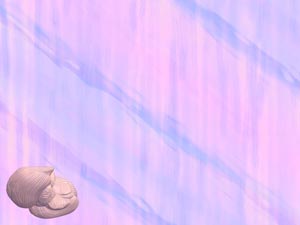 Cerebellum Title Content PowerPoint Template