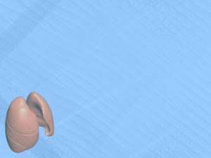 Lungs Title Content PowerPoint Template