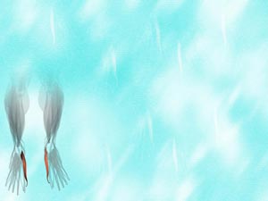 Abductor Hallucis Muscle Title Content PowerPoint Template