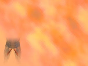 Adductor Longus Muscle Title Content PowerPoint Template