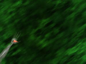 Adductor Pollicis Muscle Title Content PowerPoint Template