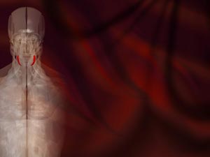 Depressor Anguli Oris Muscle Title Content PowerPoint Template