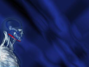 Digastric Muscle Title Content PowerPoint Template